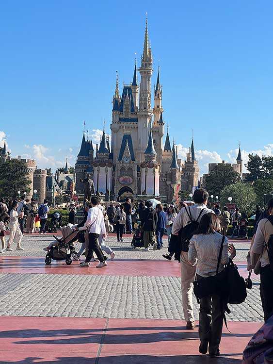 Tokyo Disney Land Cinderella Castle
